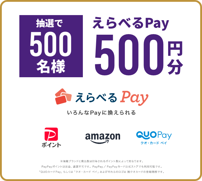 ٤Pay500ʬץ쥼