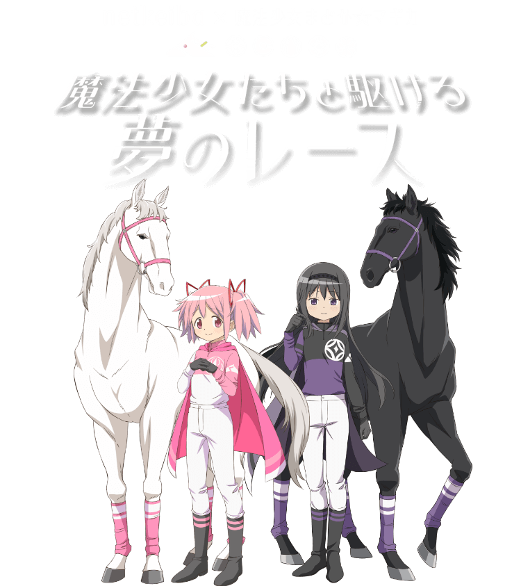 ��ˡ���������Ȥ�����̴�Υ졼��