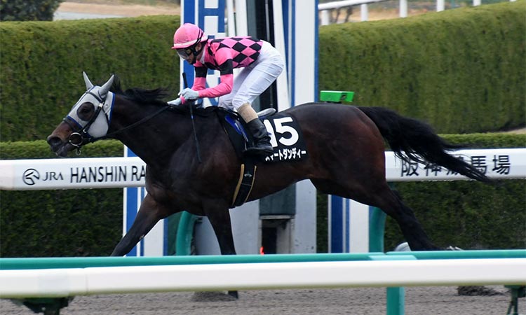 根岸ステークスの競馬予想に役立つ3つのポイント