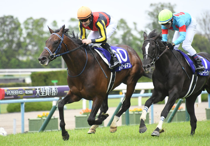 札幌記念の競馬予想に役立つ3つのポイント