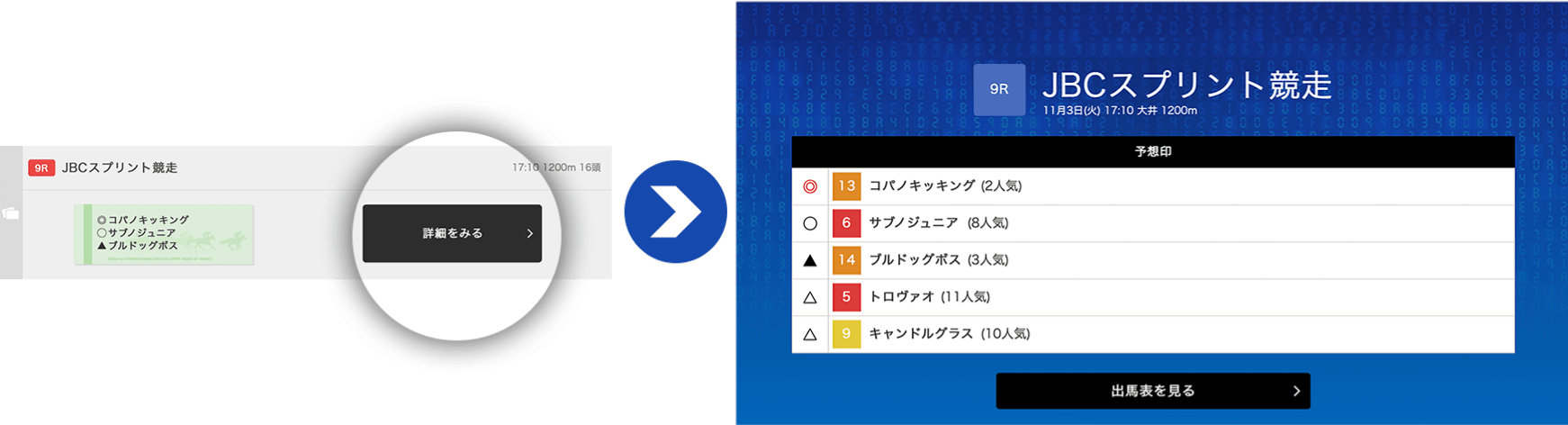 レース詳細の閲覧方法