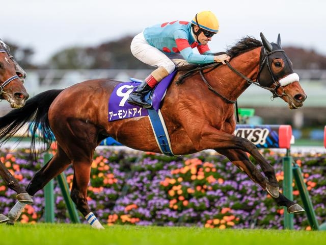 アーモンドアイの軌跡 日本馬史上初の芝G1・9勝！