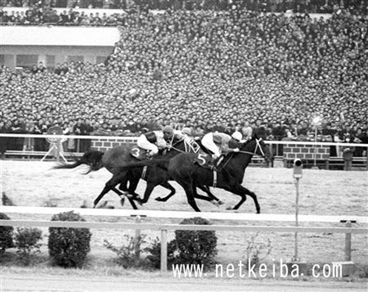 有馬記念を「連覇」「2勝」した馬は？