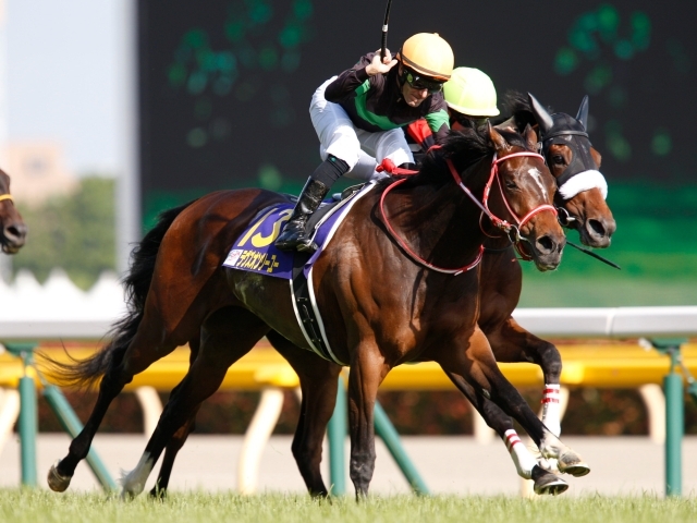 ラヴズオンリーユーの軌跡　無傷4連勝でオークス制覇！