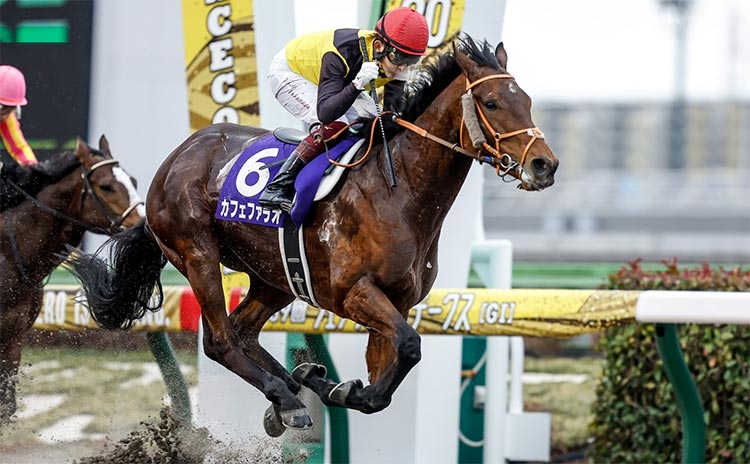 【フェブラリーS2022結果】史上2頭目の連覇達成！ カフェファラオがコースレコードタイで快勝！