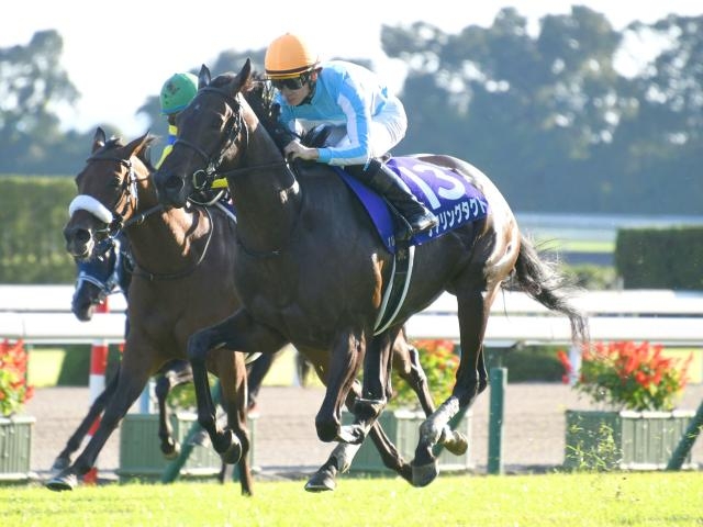 秋華賞枠順】牝馬三冠に挑むスターズオンアースは5枠9番、ローズS覇者