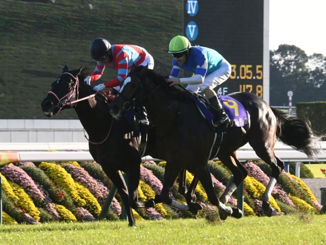 牡馬二冠馬まとめ】牡馬クラシック二冠を達成した競走馬と勝利した