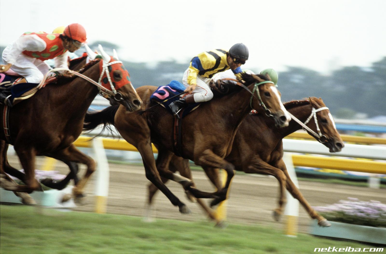 【思い出のオークス馬は？】第1回中間発表！競馬ファンの投票を紹介