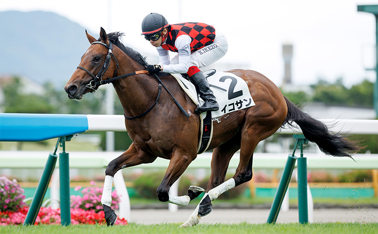 【POG2022-2023】レベルの高いレースは？ タイム指数ランキング/2歳牡馬・芝