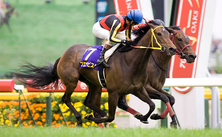 【牝馬三冠】あと一冠…惜しくも二冠に終わった牝馬一覧