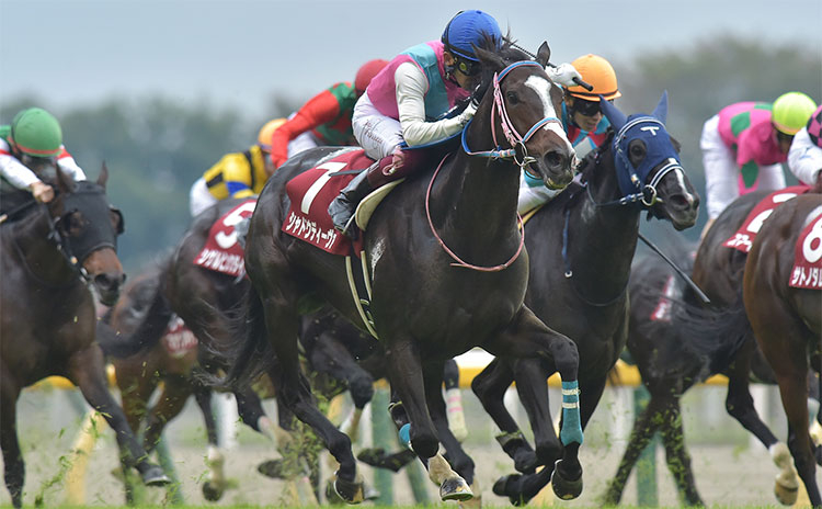 【府中牝馬ステークス予想】要注意は間隔が中10週以下の差し馬…過去10年のレース結果(1～3着馬)のデータ一覧