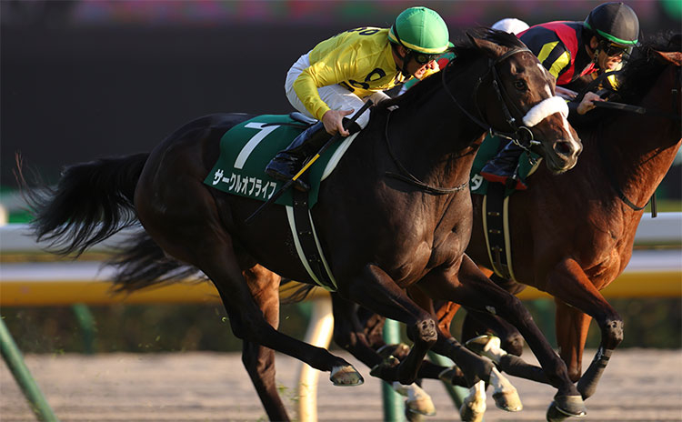 【アルテミスステークス予想】圧倒的人気馬のマイナスデータとは…過去10年のレース結果(1～3着馬)のデータ一覧