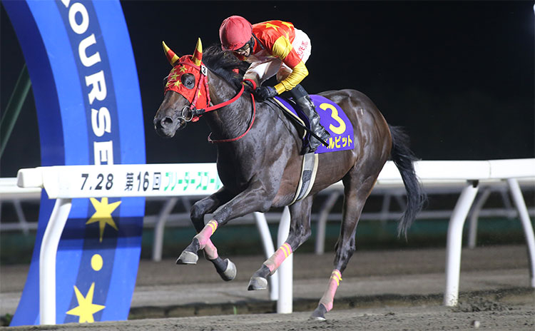 【JBC2歳優駿前哨戦回顧＆予想】頭数が揃う今回、ペースが上がりこの馬の末脚が活きる！