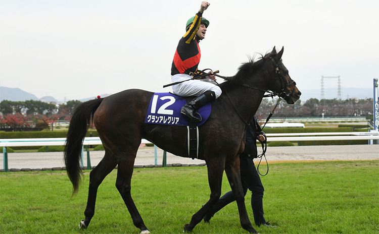 【マイルCS 予想】過去10年好走馬のデータから明暗が分かれた人気馬は… 過去10年のレース結果(1～3着馬)のデータ一覧/競馬予想データ