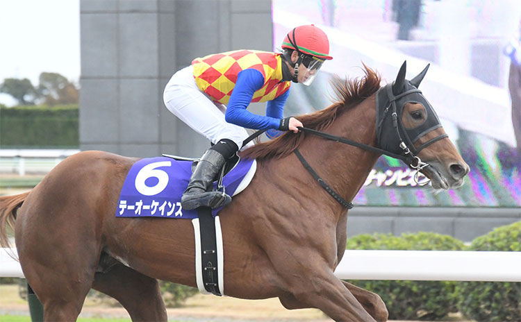 チャンピオンズカップ(G1)枠順】テーオーケインズは6枠12番