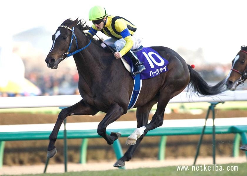 有馬記念(G1)まとめ】2022年12月25日に中山競馬場で開催！ニュース 