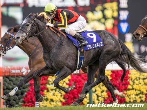 有馬記念(G1)まとめ】2022年12月25日に中山競馬場で開催！ニュース 