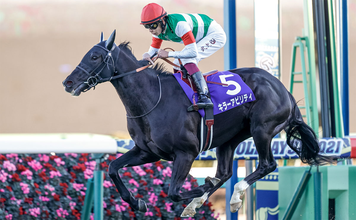 【ホープフルS予想・過去10年データ】過去の傾向から炙り出た複勝率100%、堅軸馬の条件とは？/競馬予想データ