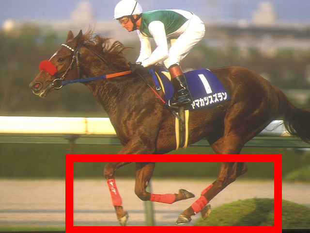 【馬具まとめ】競走馬がレース中に使用している馬具の名称や役割は？ モズアスコットのむながい、メイケイエールの折り返し手綱など