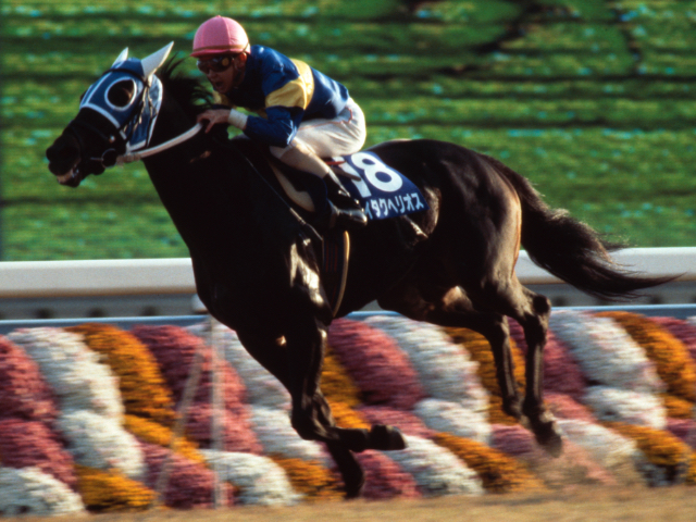 ダイタクヘリオスの軌跡 ファンに愛された個性派マイラーの活躍を振り返る/名馬列伝