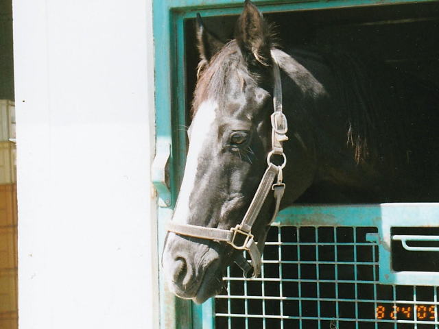 メジロラモーヌの軌跡 史上初の三冠牝馬 『メジロ』が送り出した名牝の戦績を振り返る/名馬列伝