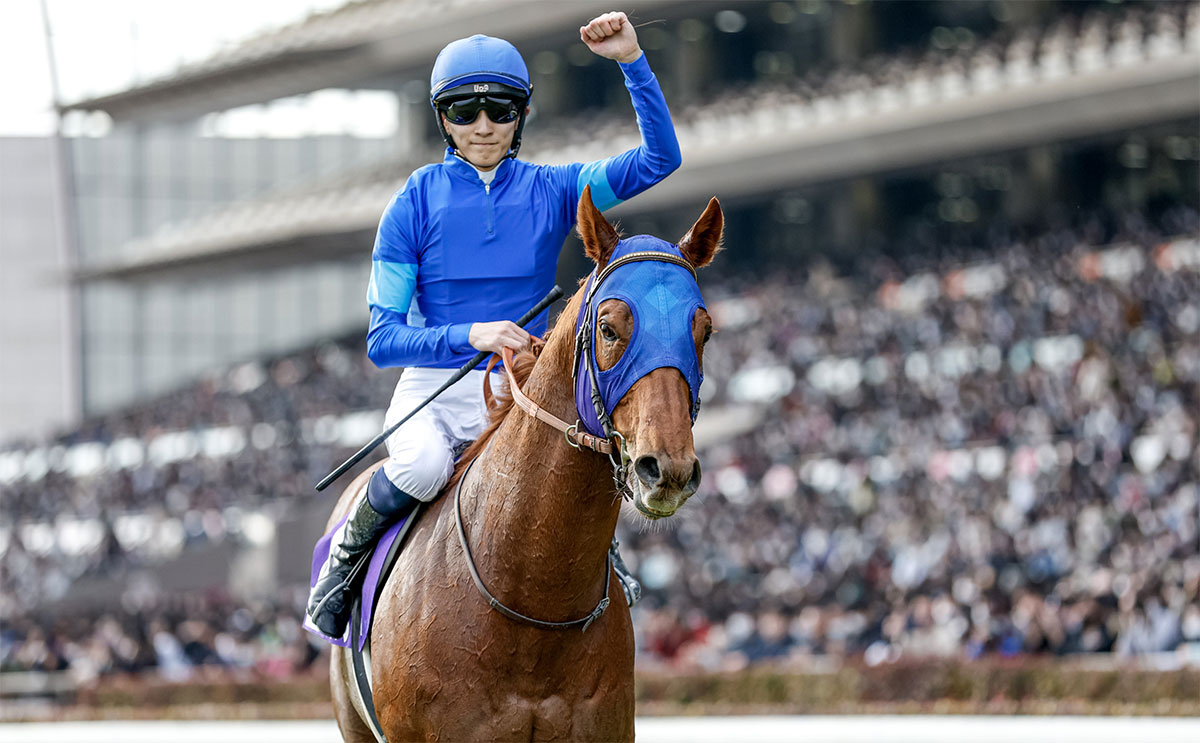 2023年 フェブラリーステークス(G1)を写真で振り返る【レモンポップ 坂井瑠星騎手】