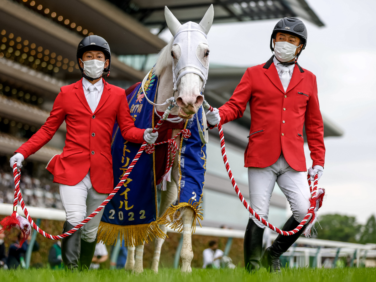 【ヴィクトリアマイル2023】出走予定馬・日程・レース概要・最新ニュースまとめ