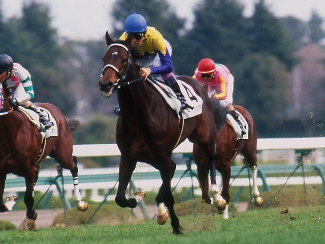 ディープインパクトの軌跡 日本近代競馬の結晶よ、永遠にーー