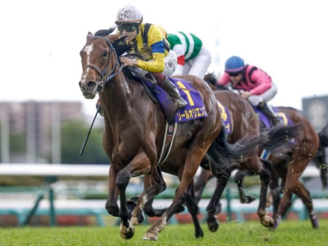 【POG2022-2023】レベルの高いレースは？ タイム指数ランキング/3歳牡馬・芝