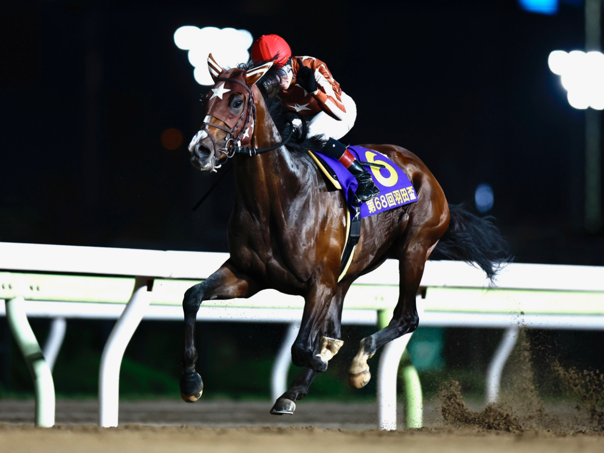 ジャパンダートダービー2023】枠順・出走予定馬・歴代優勝馬・日程