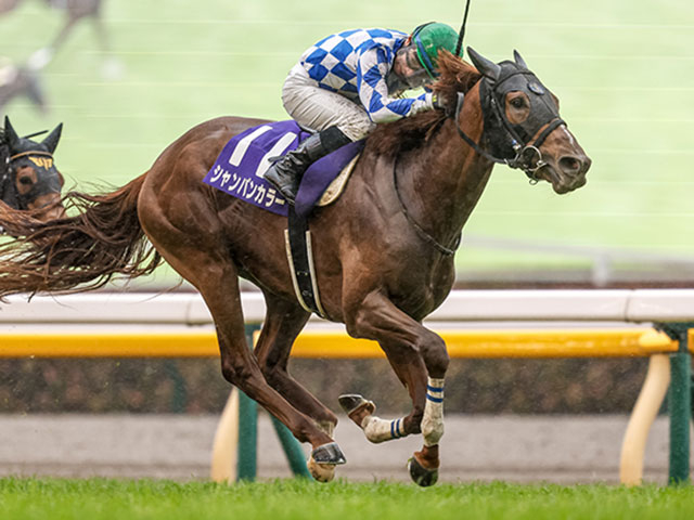 【次走報・3歳馬】シャンパンカラー、ドルチェモアは安田記念、サトノグランツ、パクスオトマニカ、ダノントルネードは日本ダービーなど最新情報(2023年05月12日更新)
