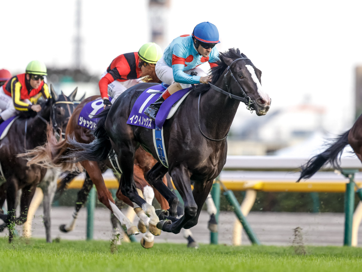 【天皇賞(秋)2023】出走予定馬・日程・レース概要・最新ニュースまとめ