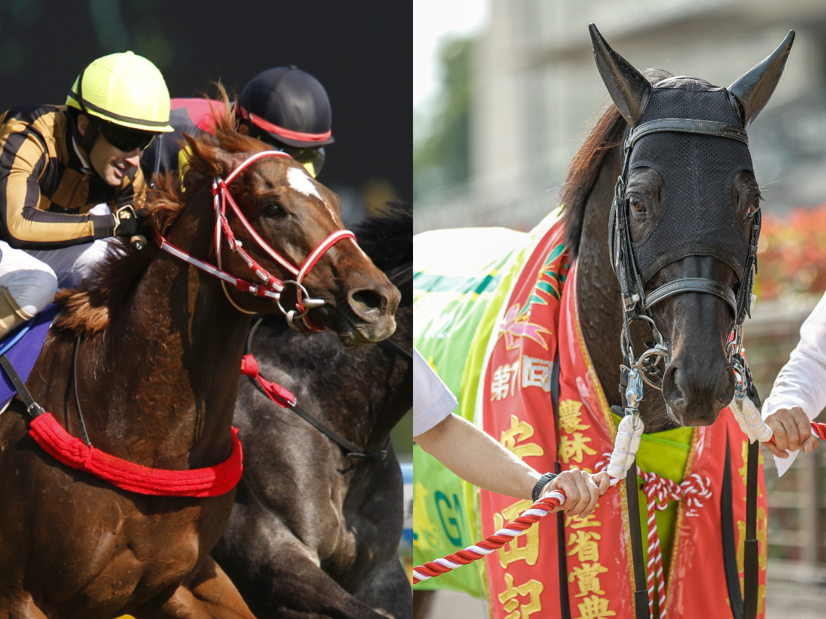 【安田記念2023予想】安田記念優勝馬の前走レースまとめ 2023年出走予定の該当馬は？