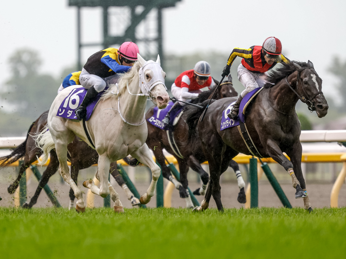 【安田記念2023予想】有利な枠順は？ 過去10年間の枠番・馬番の成績/競馬予想データ