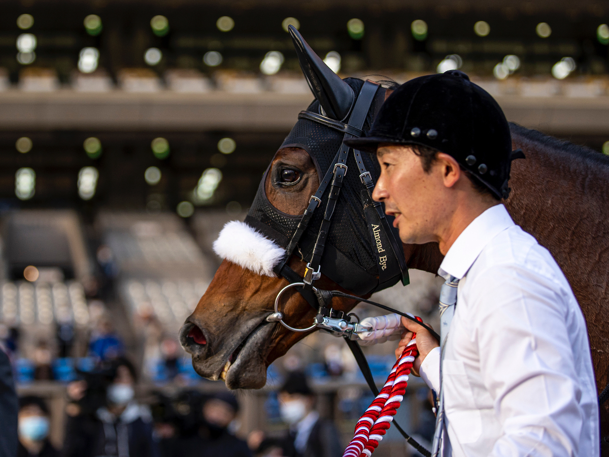 【ジャパンカップ2023】出走予定馬・日程・レース概要・最新ニュースまとめ