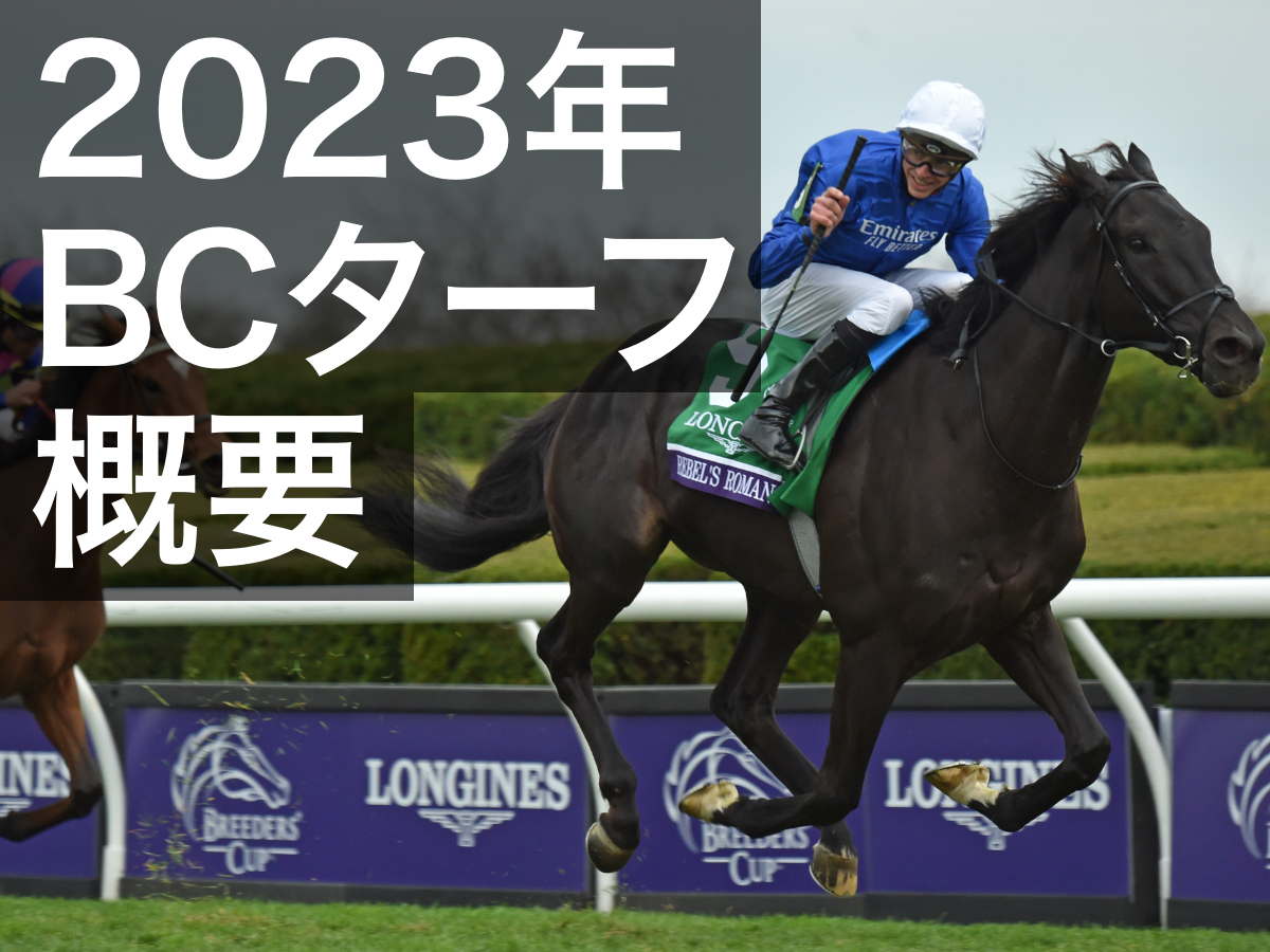 【BCターフ2023】ブリーダーズカップ・ターフのレース概要・過去の優勝馬・日本馬の挑戦歴など