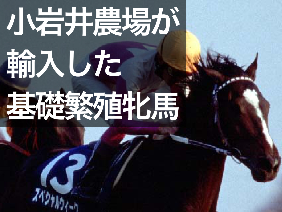 【関連まとめ】小岩井農場が輸入した主要な基礎繁殖牝馬を紹介 現代競馬にも影響を与える在来牝系