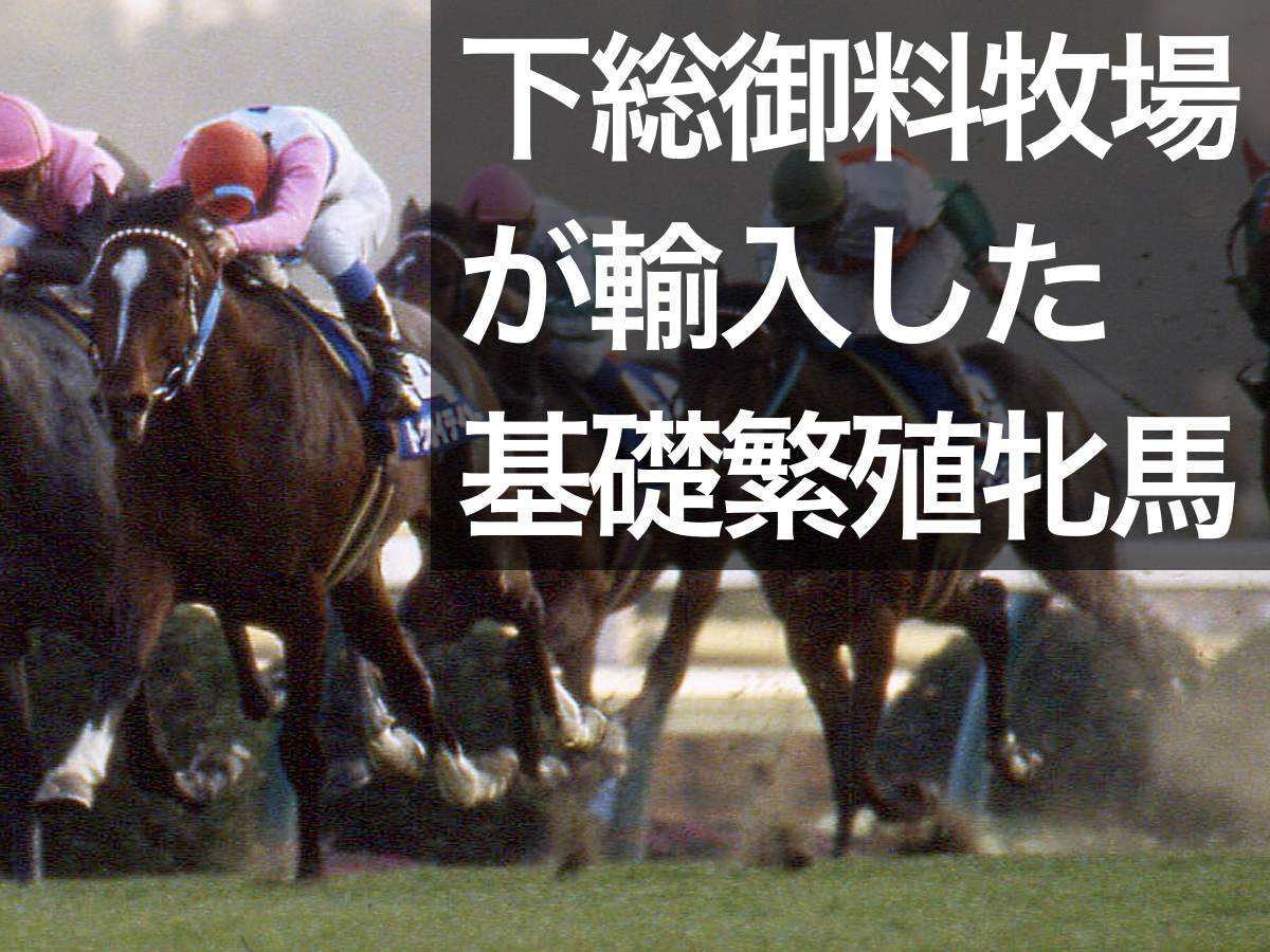 【競馬の歴史】下総御料牧場が輸入した主要な基礎繁殖牝馬を紹介 ゴールドシップ・トウカイテイオーなど