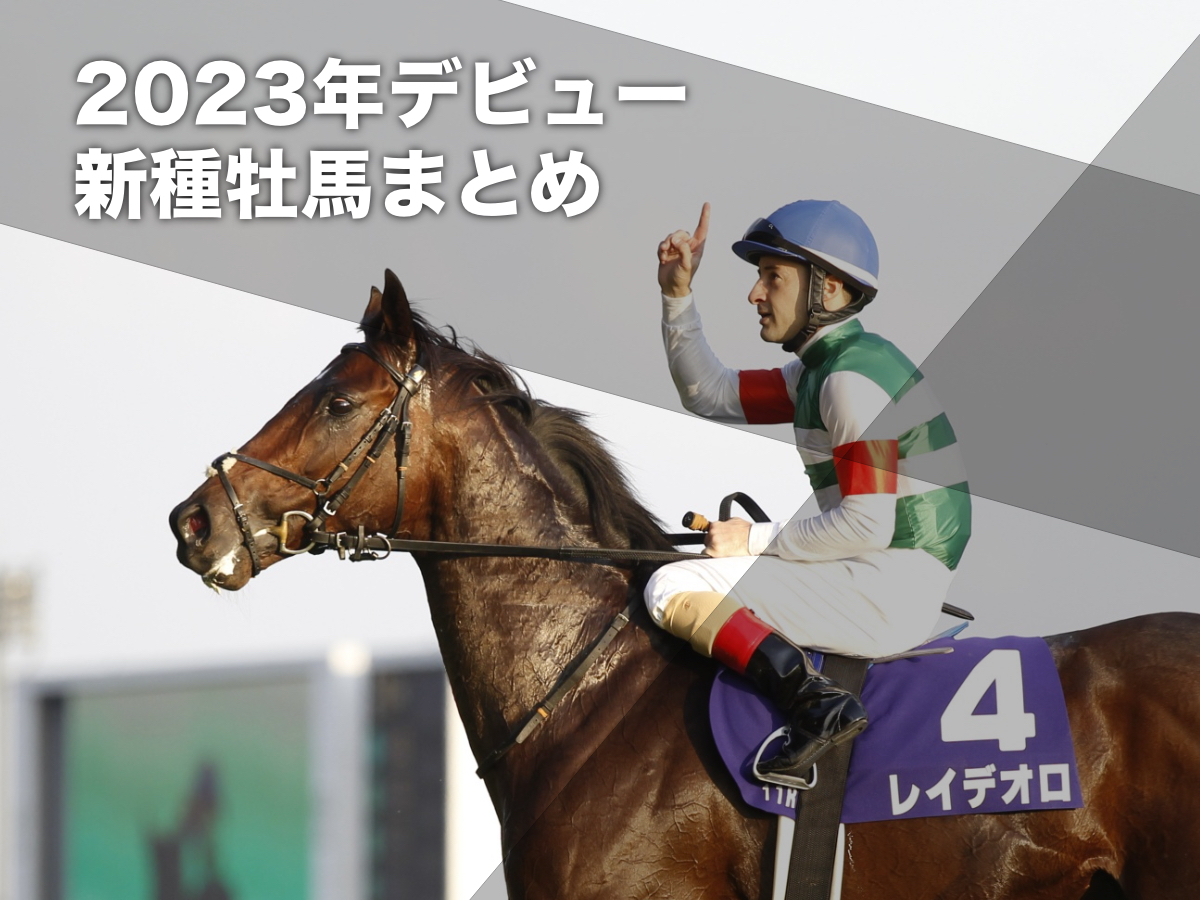 2023年2歳新馬戦まとめ】メイクデビュー優勝馬一覧(更新：2023年12月28