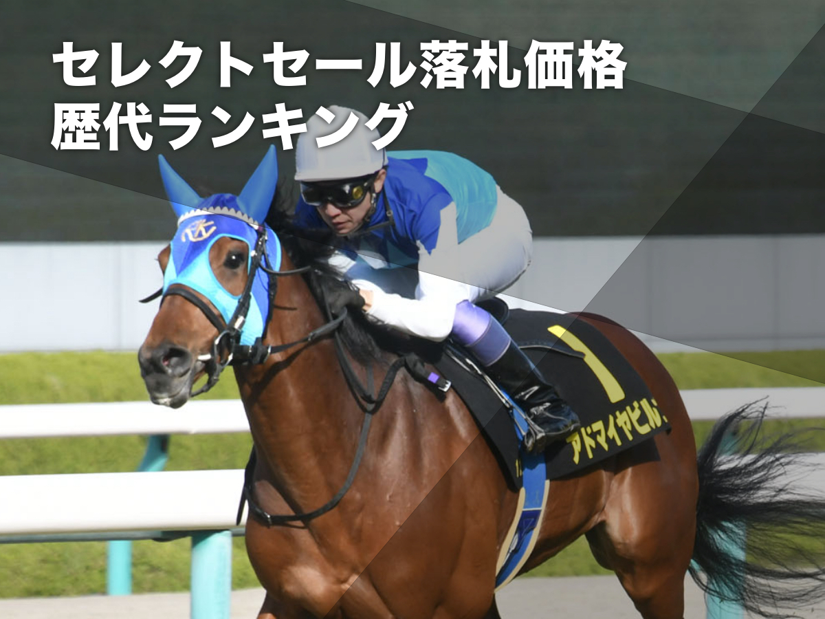 高額馬ランキング】G1馬・重賞馬のセール落札価格ランキング 歴代落札 