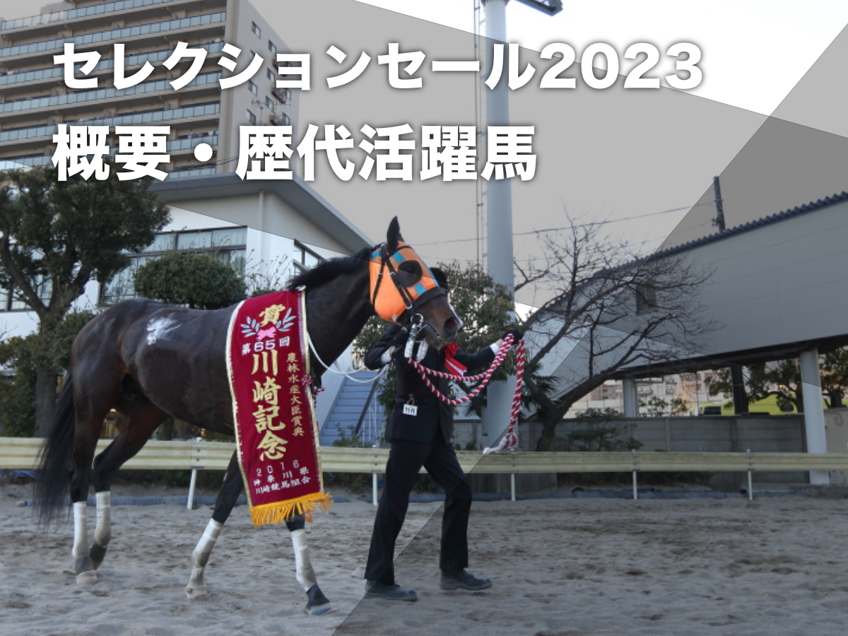 セレクションセールの概要＆セール出身の活躍馬一覧