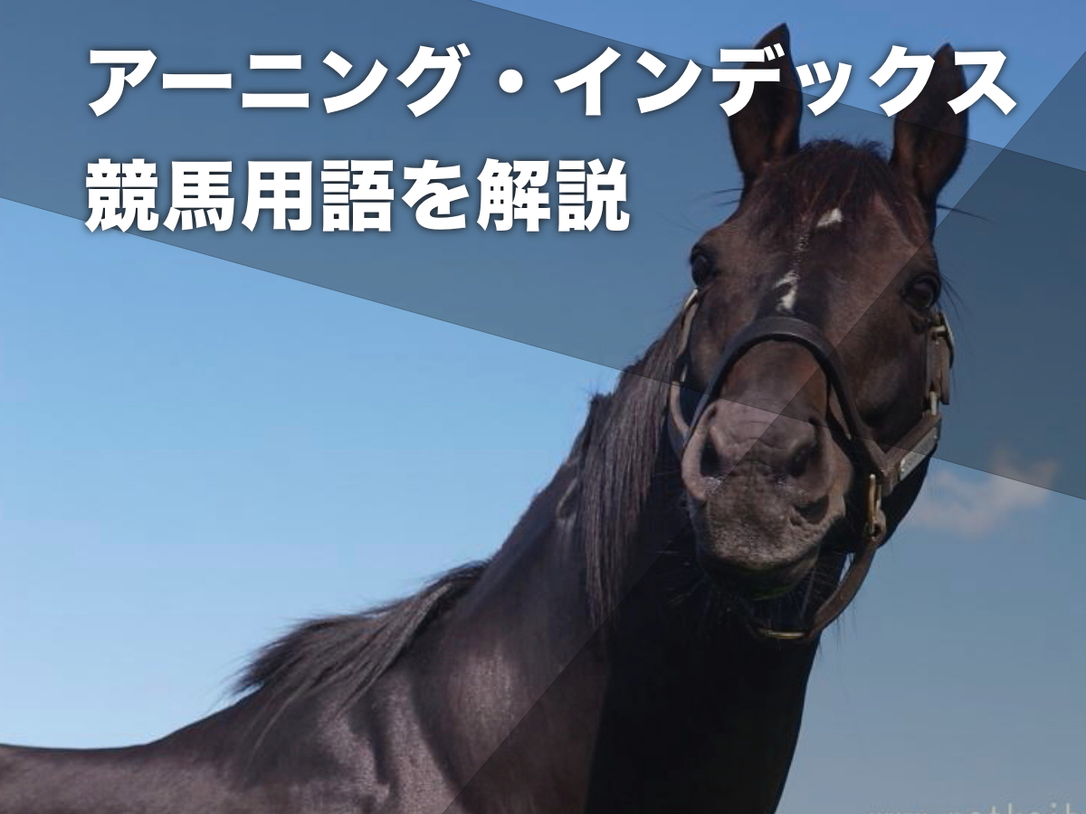 【種牡馬の評価指標】アーニング・インデックス(AEI)とは？ | 競馬用語まとめ
