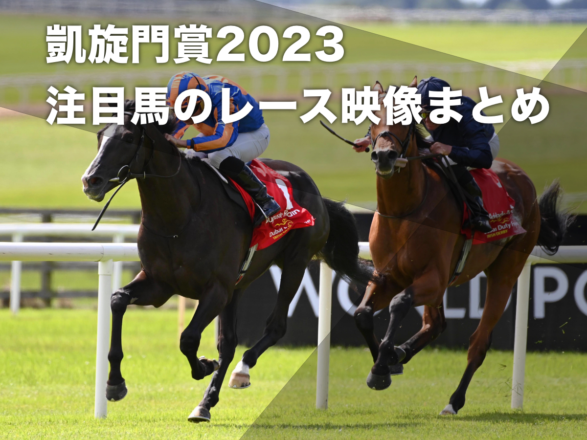 神戸新聞杯的中 810万的中！WIN５予想 スプリンターズS 凱旋門賞 競馬