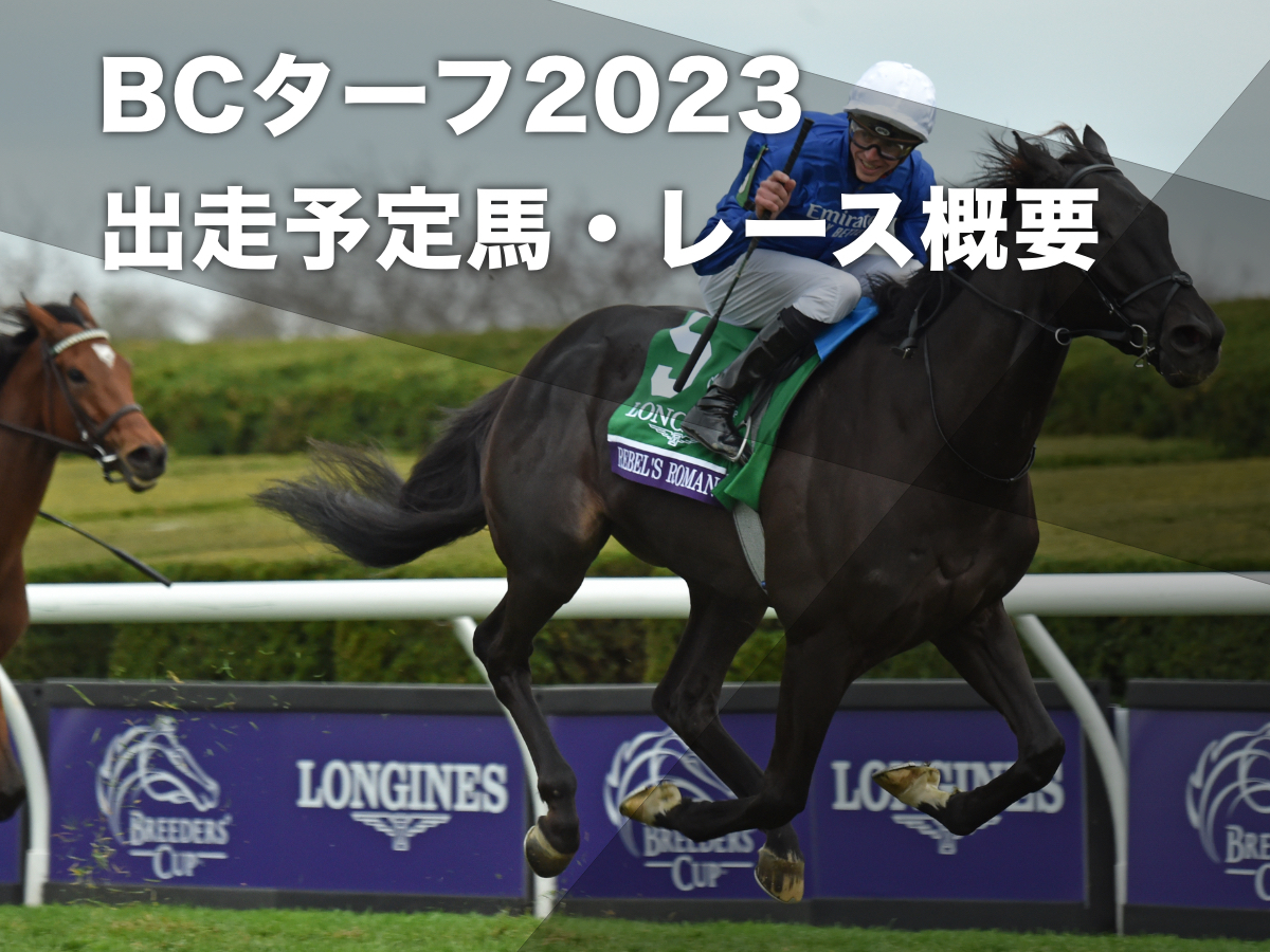 2023年ブリーダーズカップの概要・過去の開催地・発走時刻・結果・日本