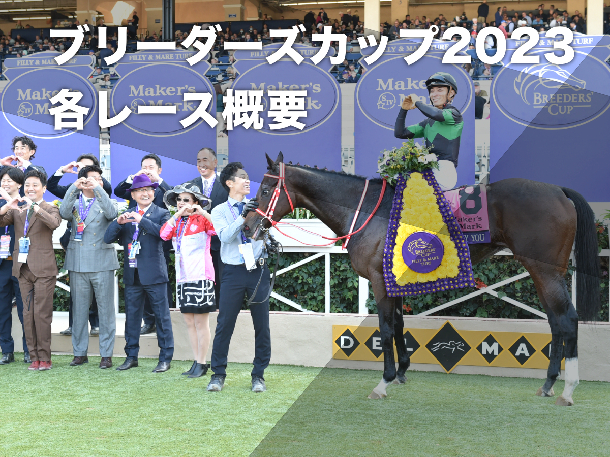 ブリーダーズカップ2023 ソングライン ウシュバテソーロ 単勝馬券 セット