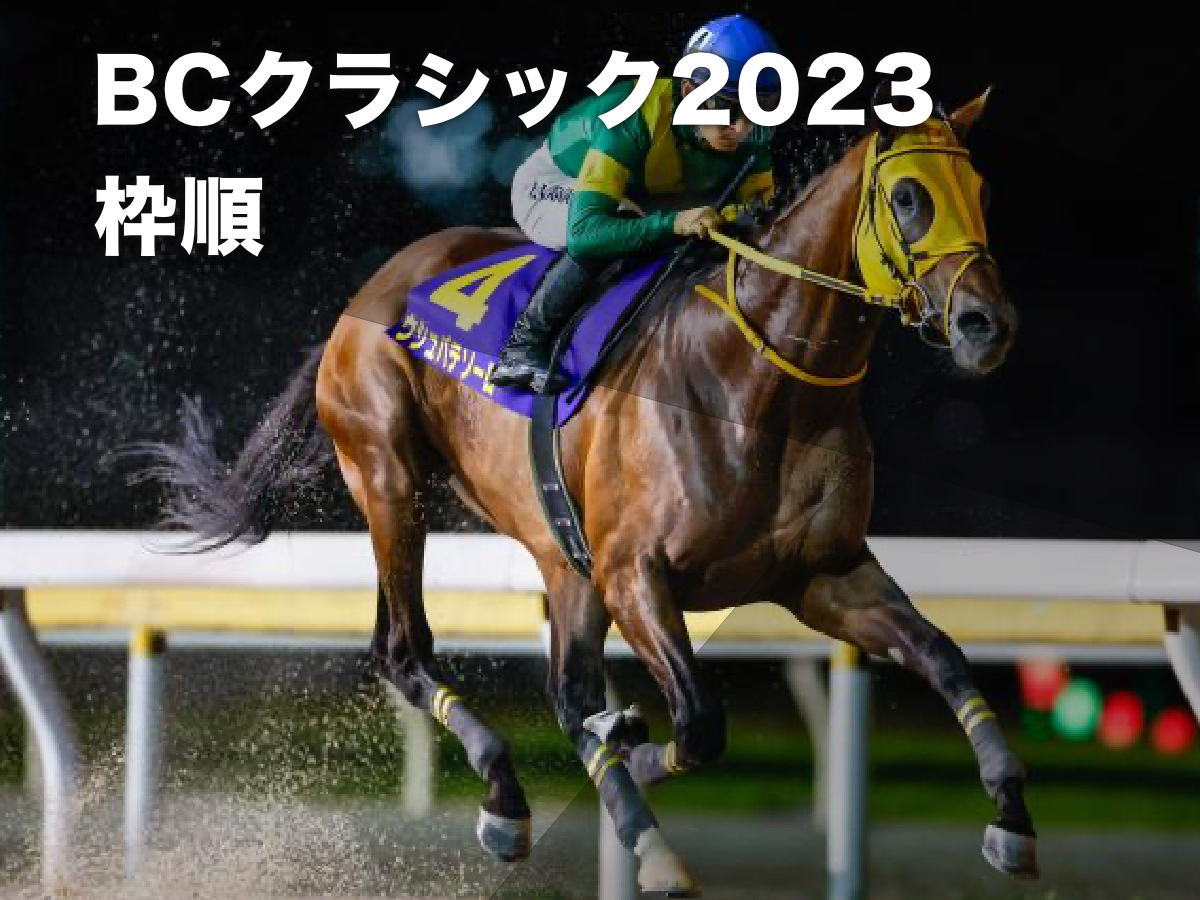 BCクラシック2023】ブリーダーズカップ・クラシックの出走予定馬