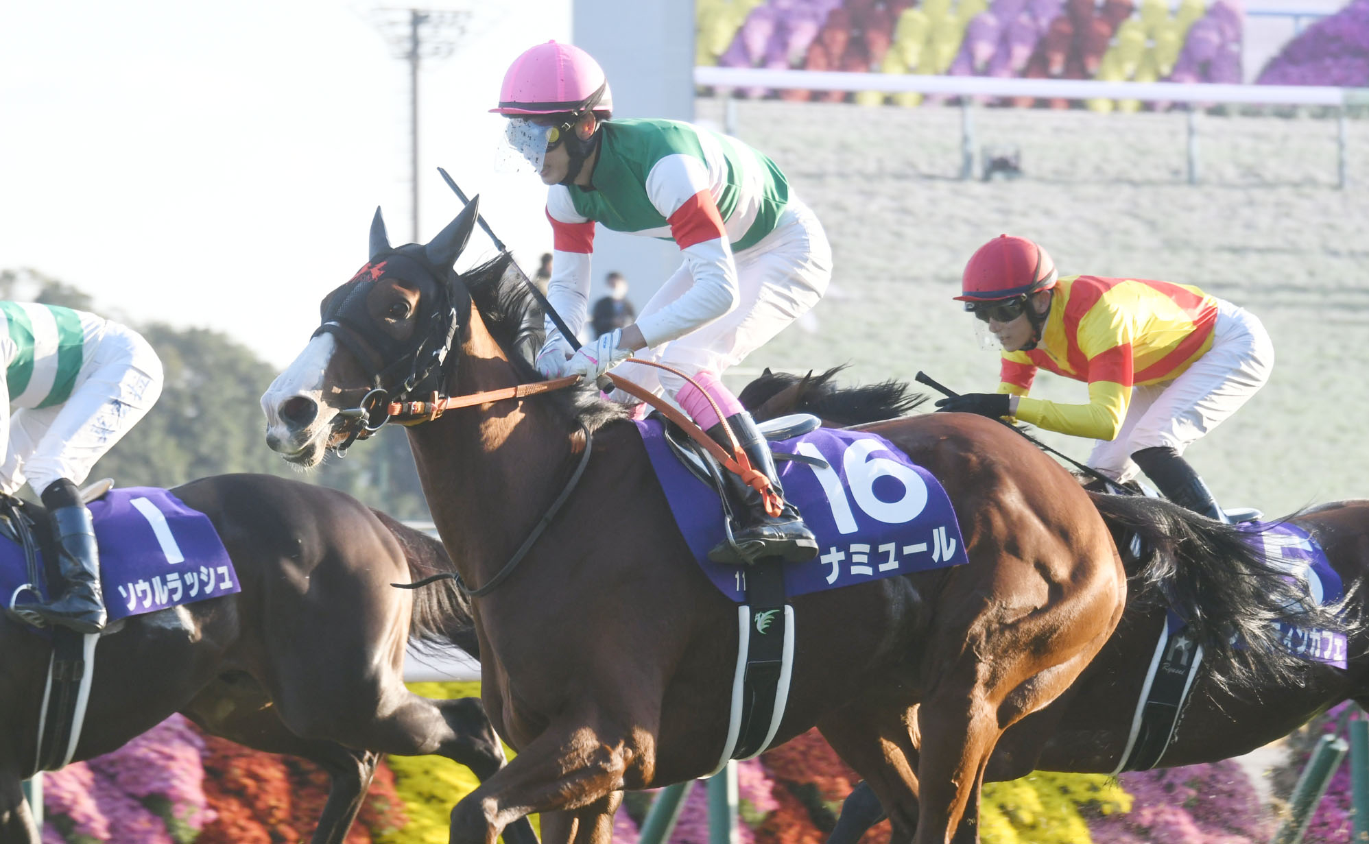 【マイルチャンピオンシップ2023結果】紅一点ナミュールが鮮やかな差し切り 代打の藤岡康太騎手でG1初制覇