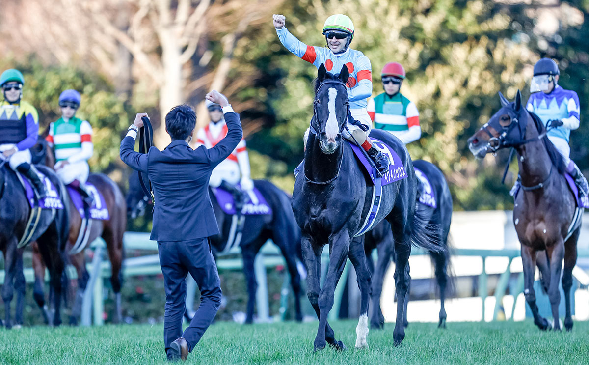 メーカー公式ショップ】 96年第41回有馬記念 現地購入 出走全馬14頭 