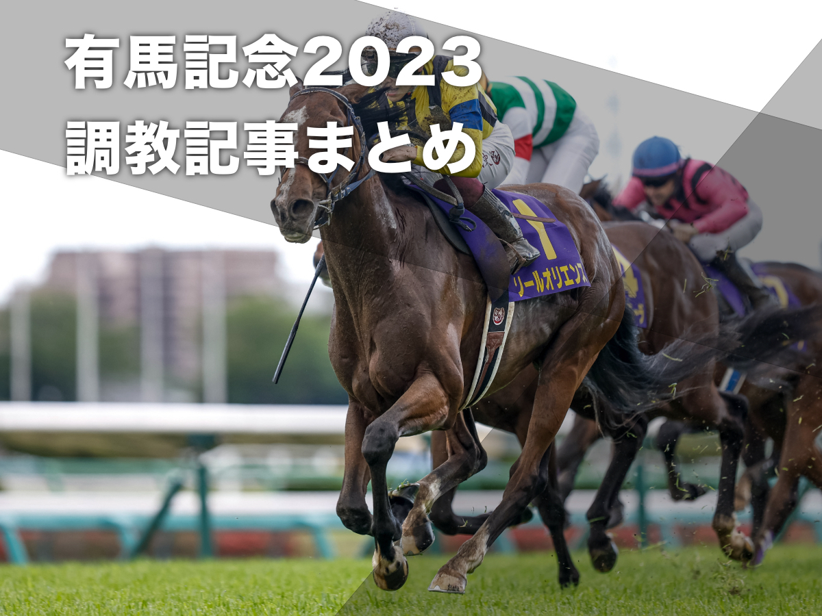 有馬記念2023】枠順・出走馬16頭・騎手・調教・枠順速報・日程・レース 