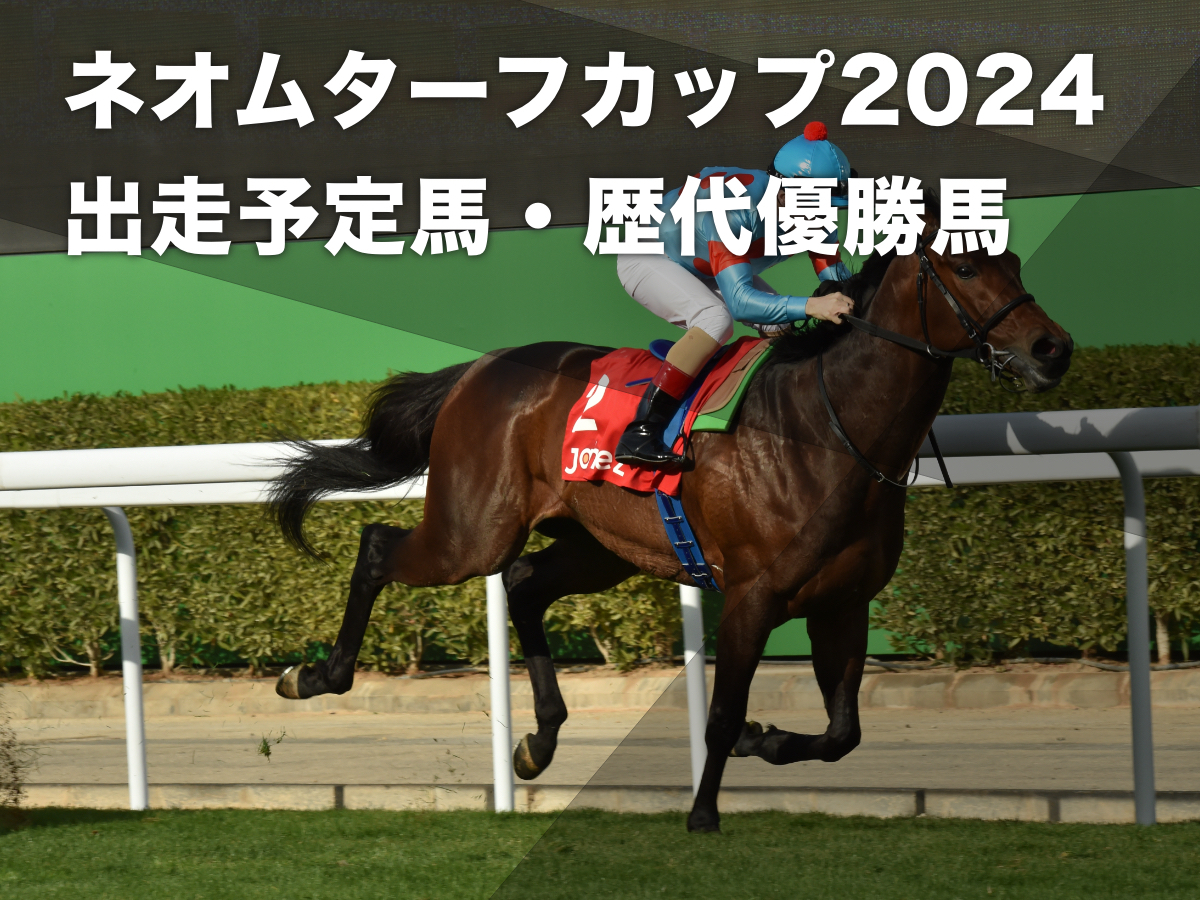 【ネオムターフカップ2024】出走予定馬・レース概要・過去の優勝馬など G1馬キラーアビリティなど日本馬3頭が出走